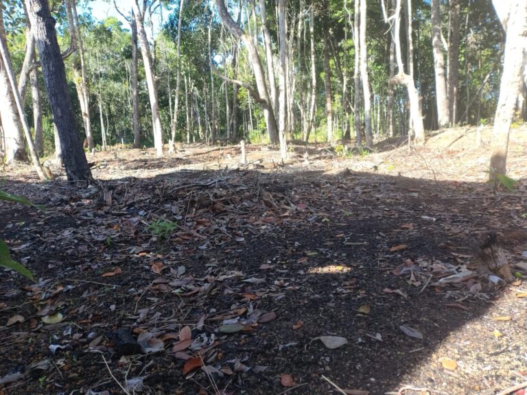 Imagem-do-WhatsApp-de-2025-11-05-as-11.09.13_b5d91dbf-1