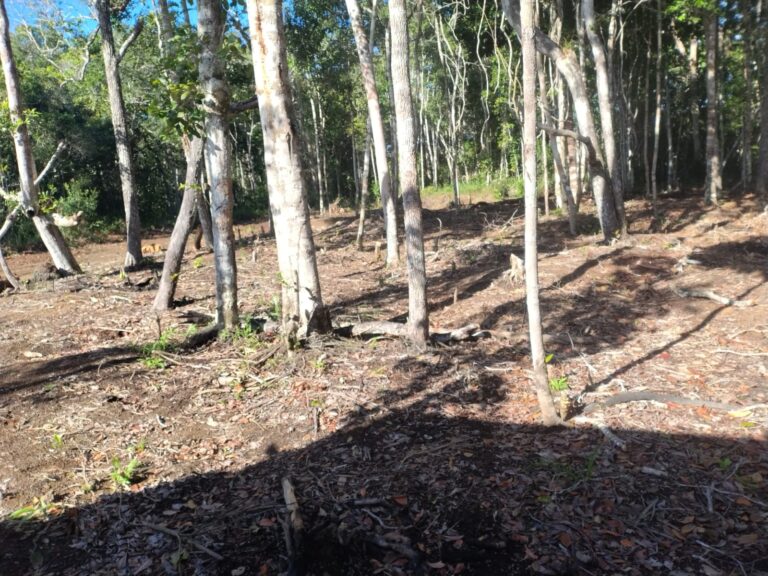 Imagem-do-WhatsApp-de-2025-11-05-as-11.09.13_deb6b52b-1